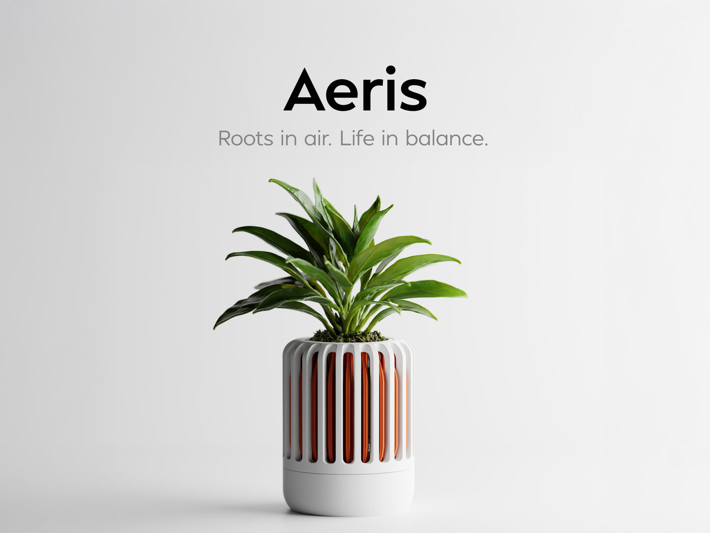 Aeris Plant Pot – byVORM
