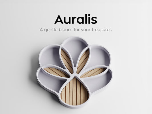 Auralis Organizer – byVORM