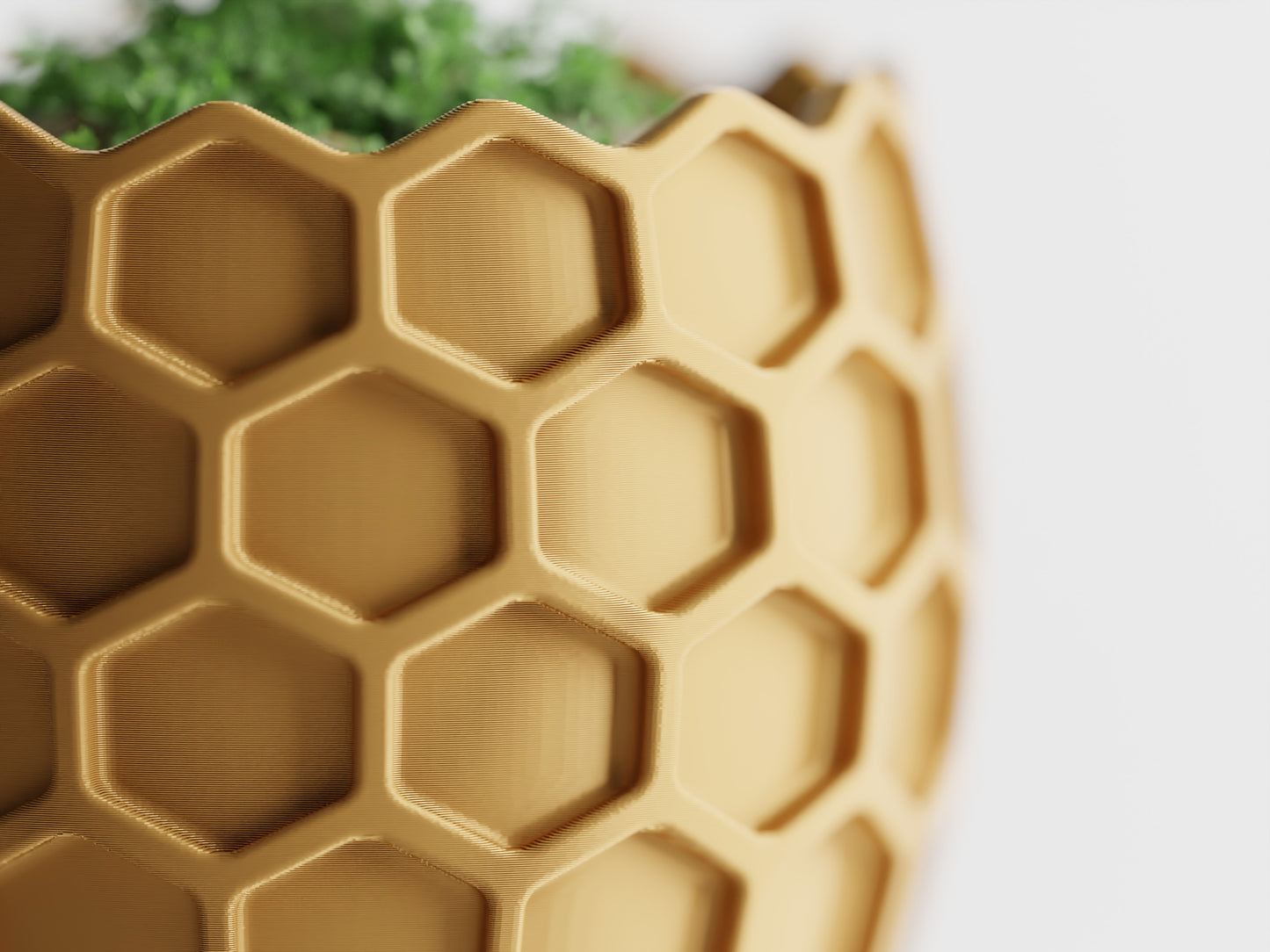 Beehavia Organizer – byVORM