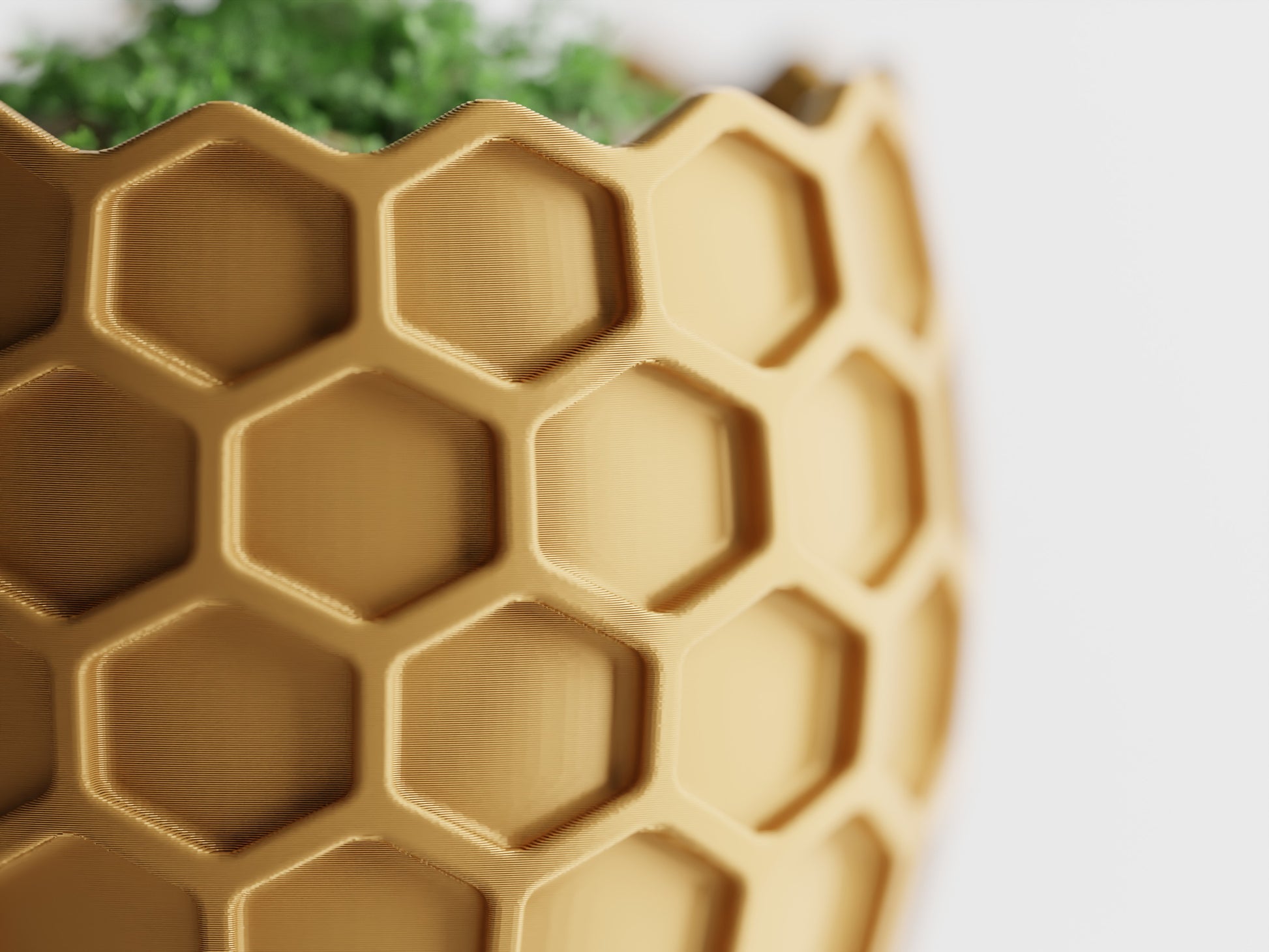 Beehavia Organizer – byVORM