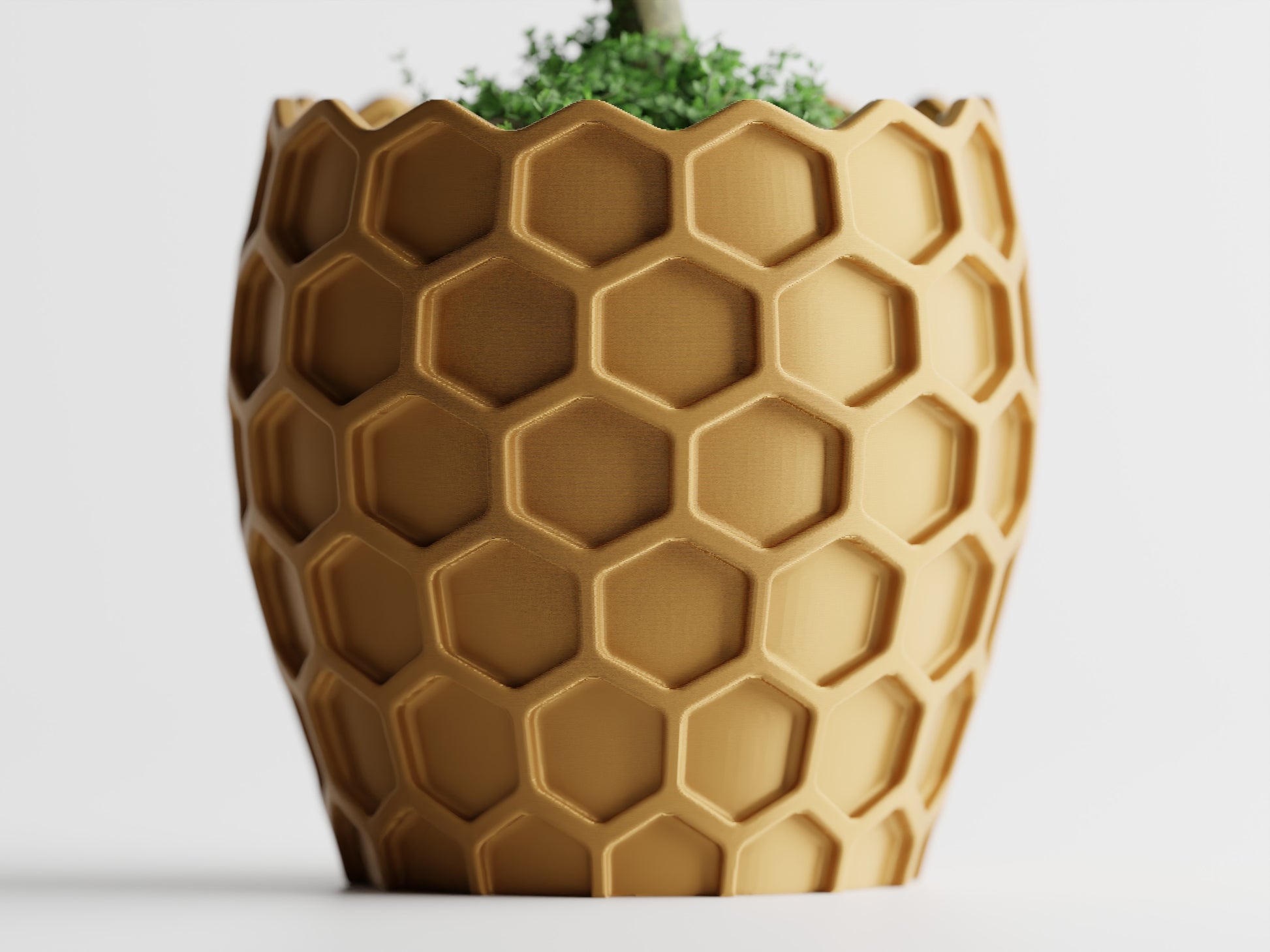 Beehavia Organizer – byVORM