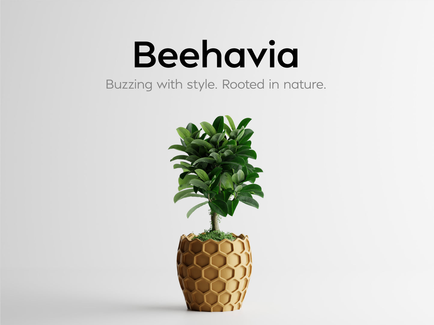 Beehavia Organizer – byVORM
