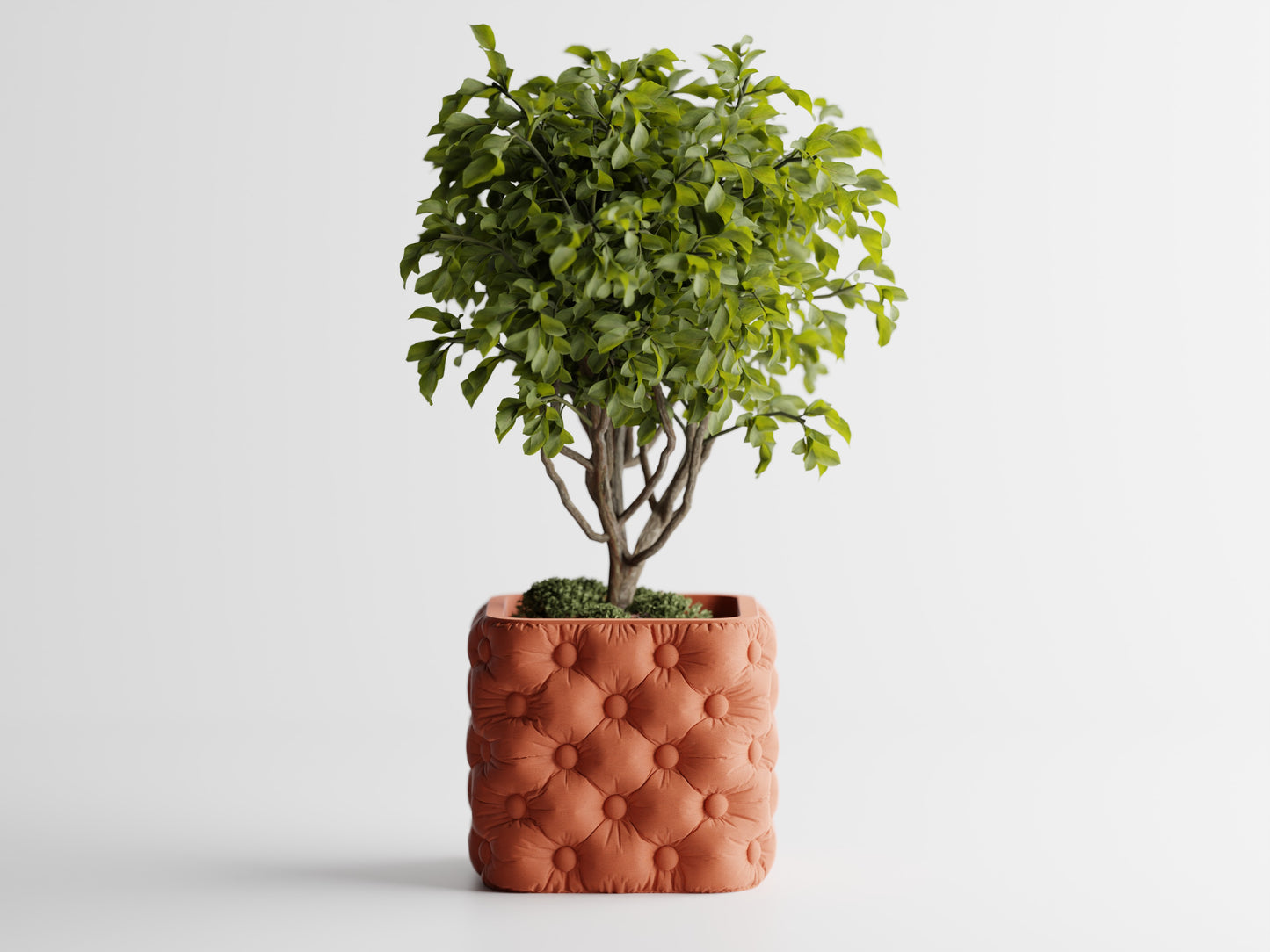 Chesterra Plant Pot – byVORM