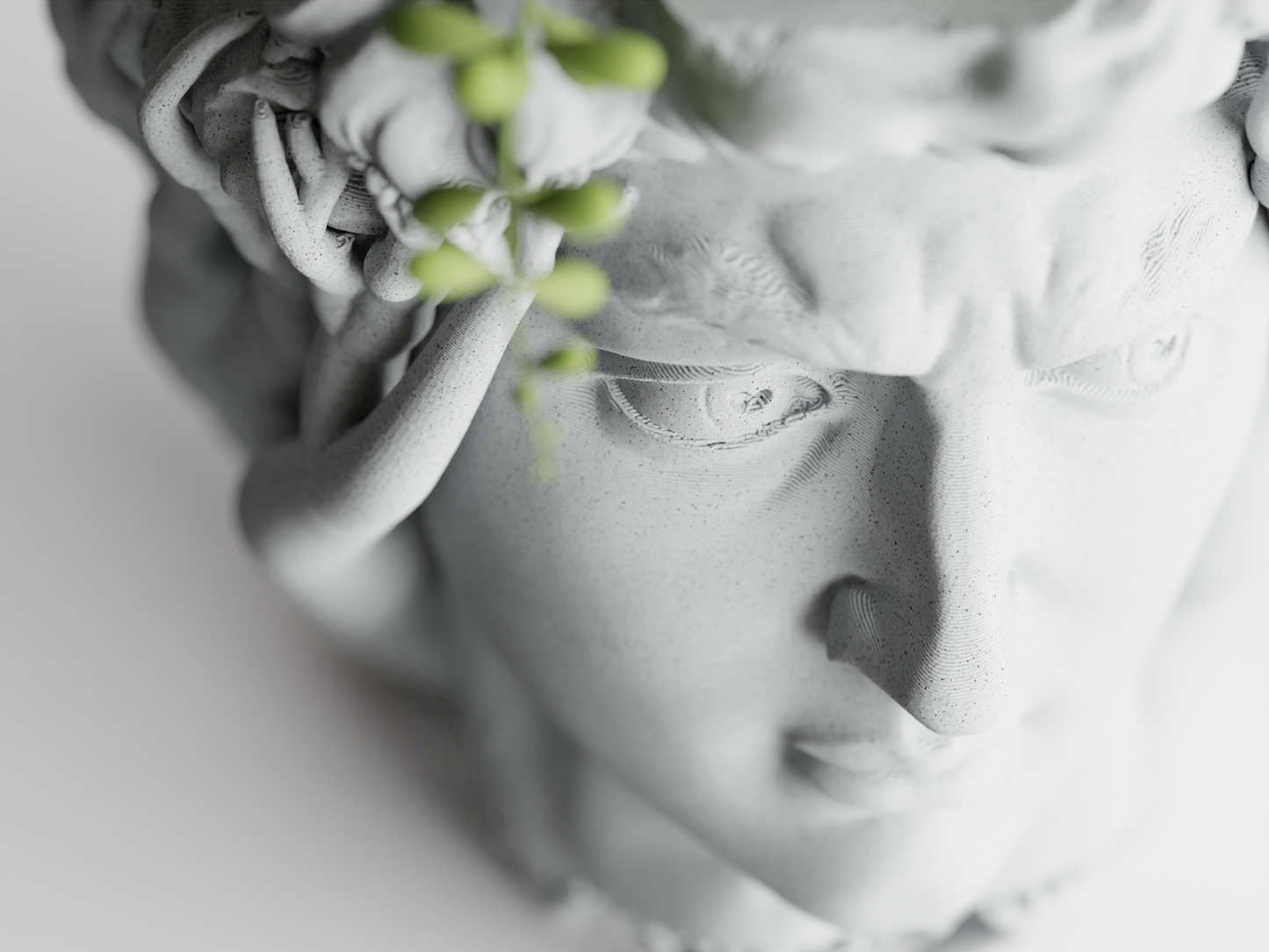 David Organic Vase – byVORM