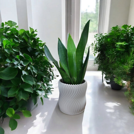 Modern Plant Pot – byVORM