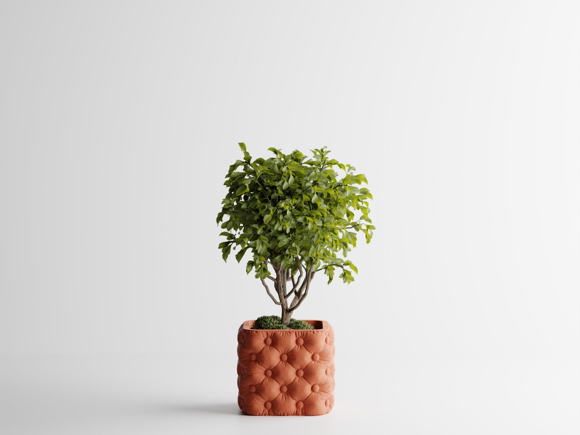 Chesterra Plant Pot – byVORM