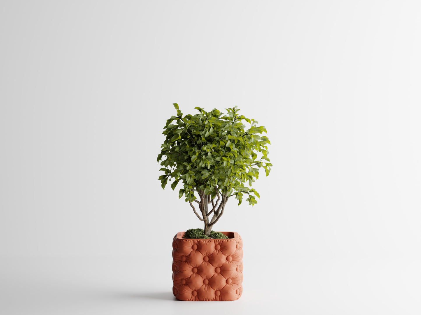 Chesterra Plant Pot – byVORM