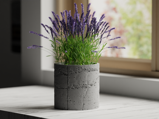 Concrete Pot – byVORM