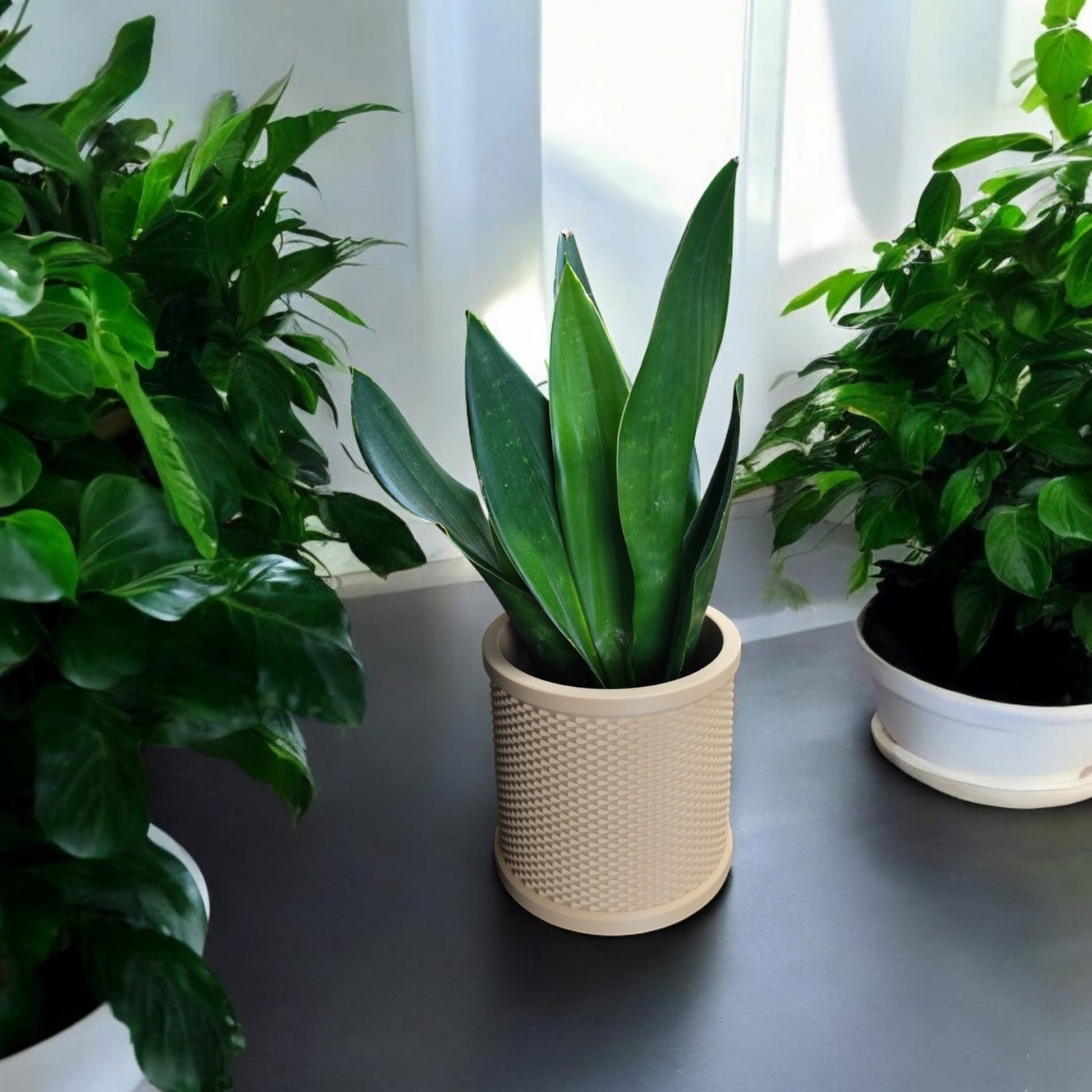 Rattan Retro Planter – byVORM